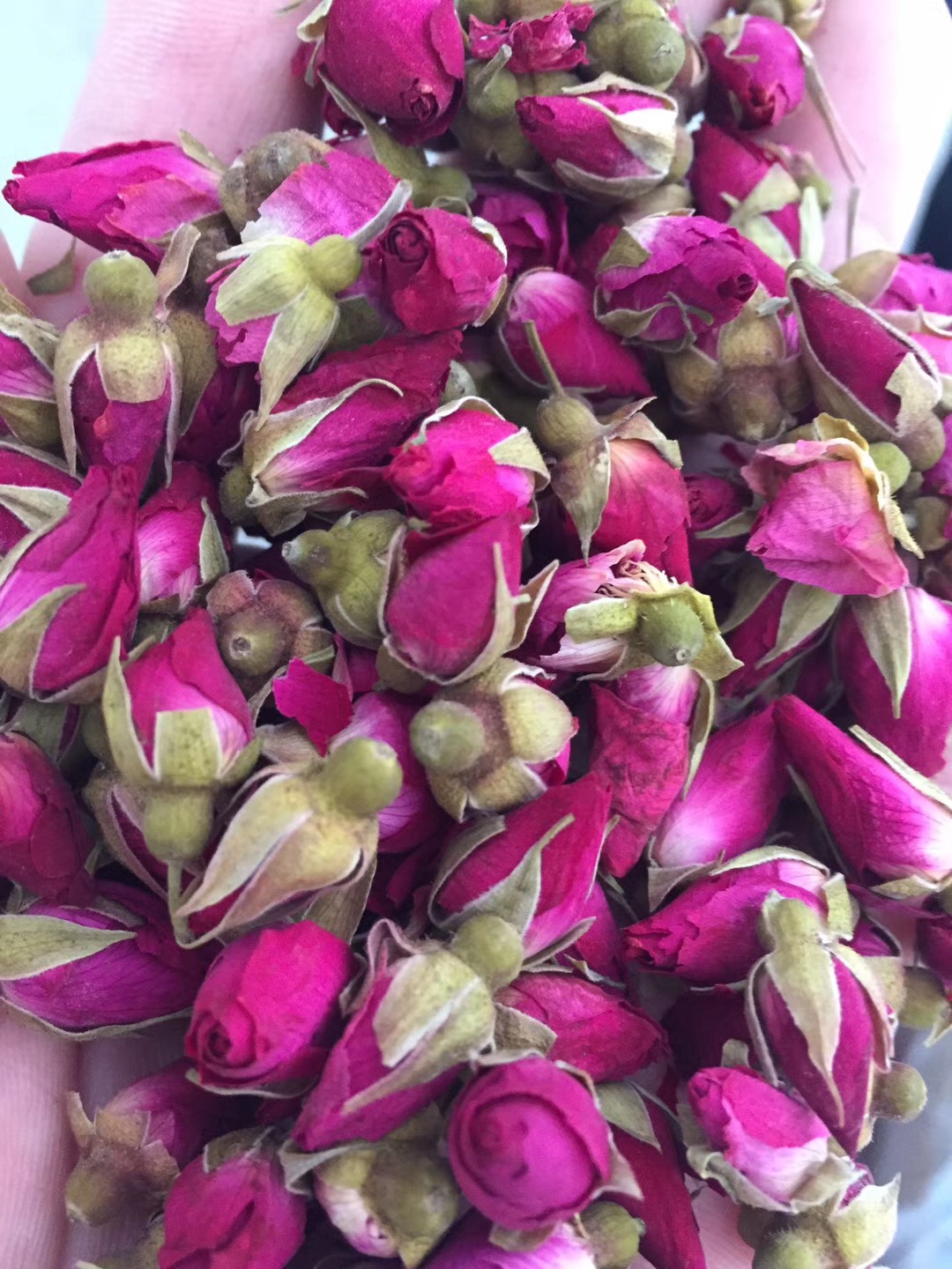 c8719b76a9e624bb24d88a67414204e